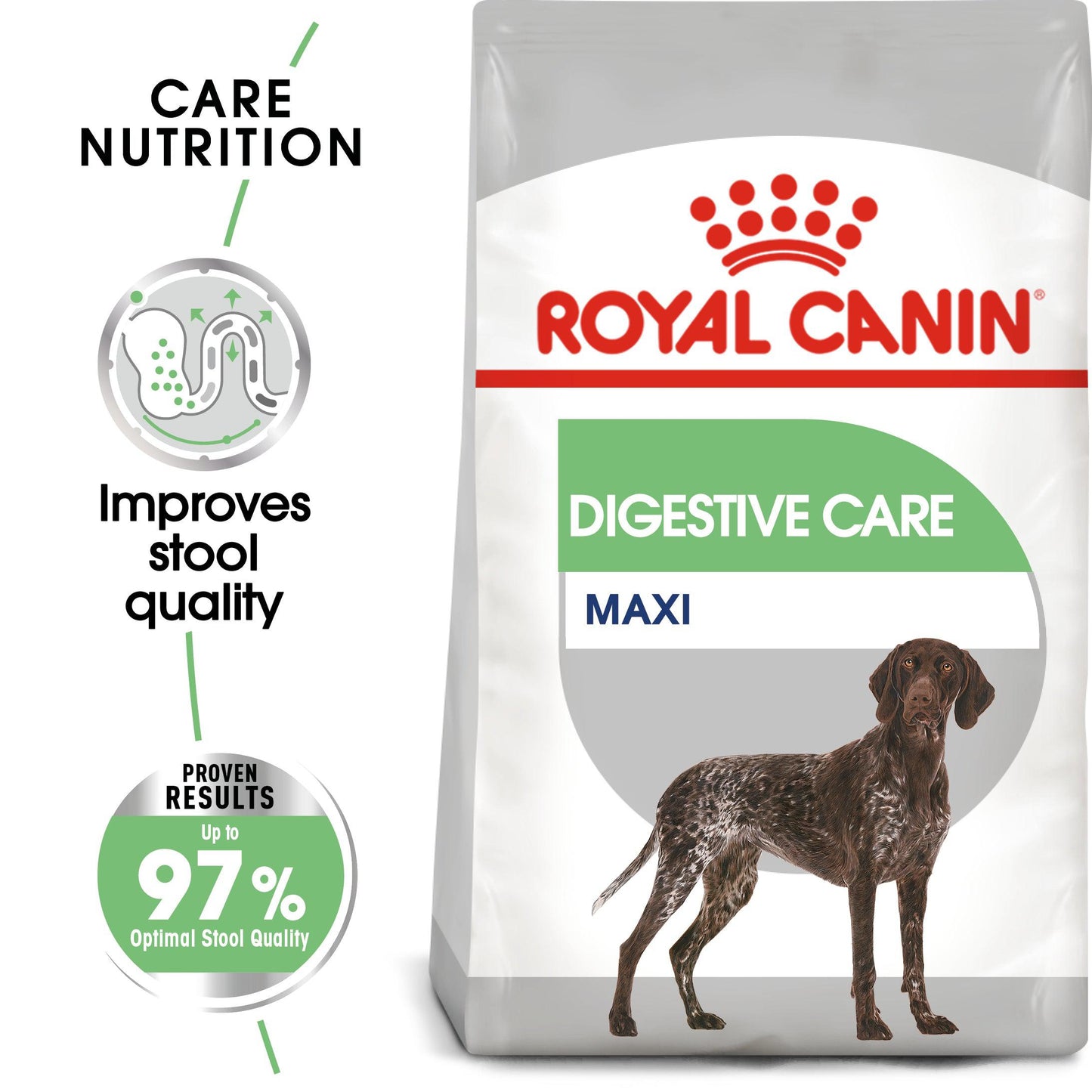 Royal Canin Canine Care Nutrition Maxi Digestive Care