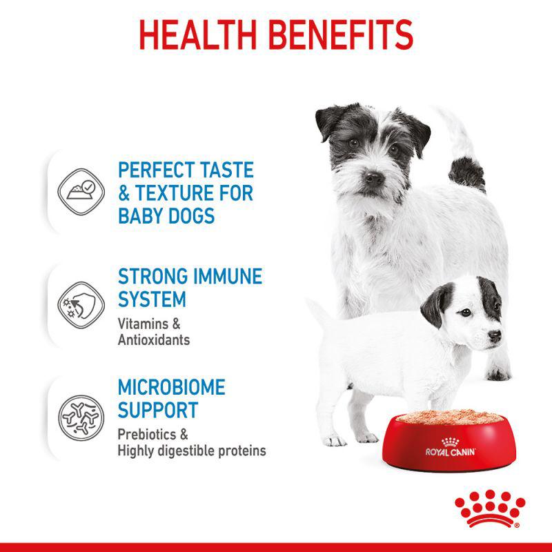 Royal Canin Canine Health Nutrition Starter Mousse Wet Food Can, 195g