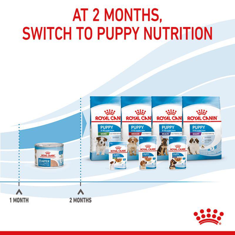 Royal Canin Canine Health Nutrition Starter Mousse Wet Food Can, 195g