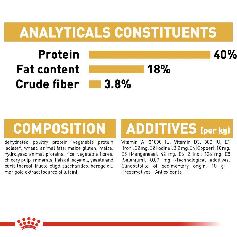 Royal Canin Feline Breed Nutrition Bengal Adult