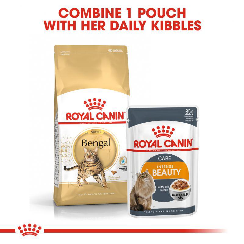 Royal Canin Feline Breed Nutrition Bengal Adult