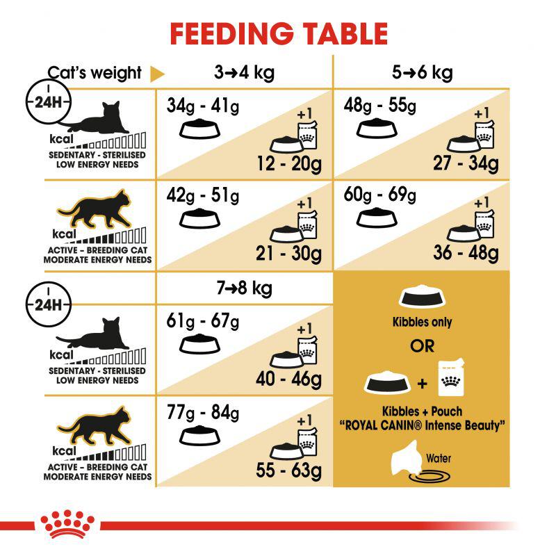 Royal Canin Feline Breed Nutrition Bengal Adult