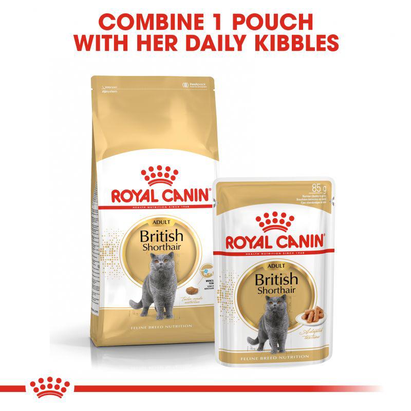 Royal Canin Feline Breed Nutrition British Shorthair Adult