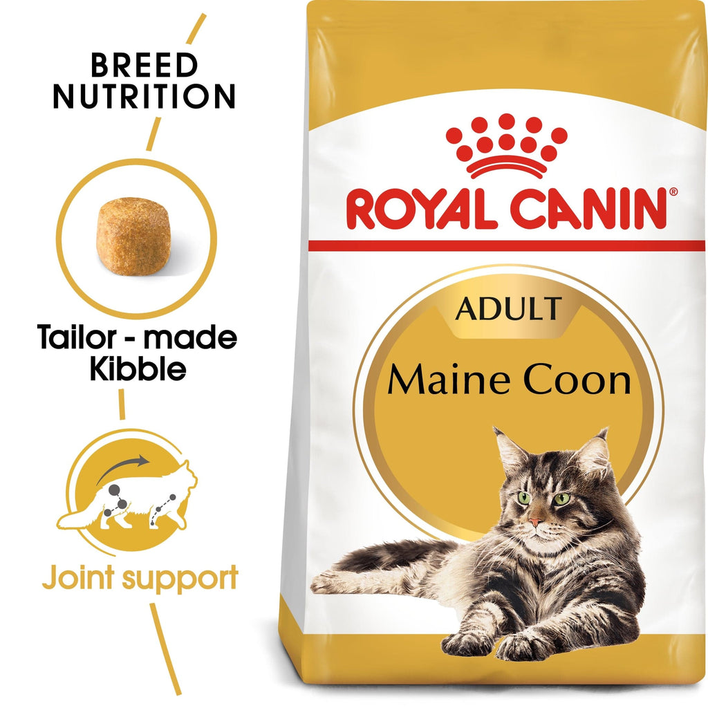 Royal Canin Feline Breed Nutrition Maine Coon Adult