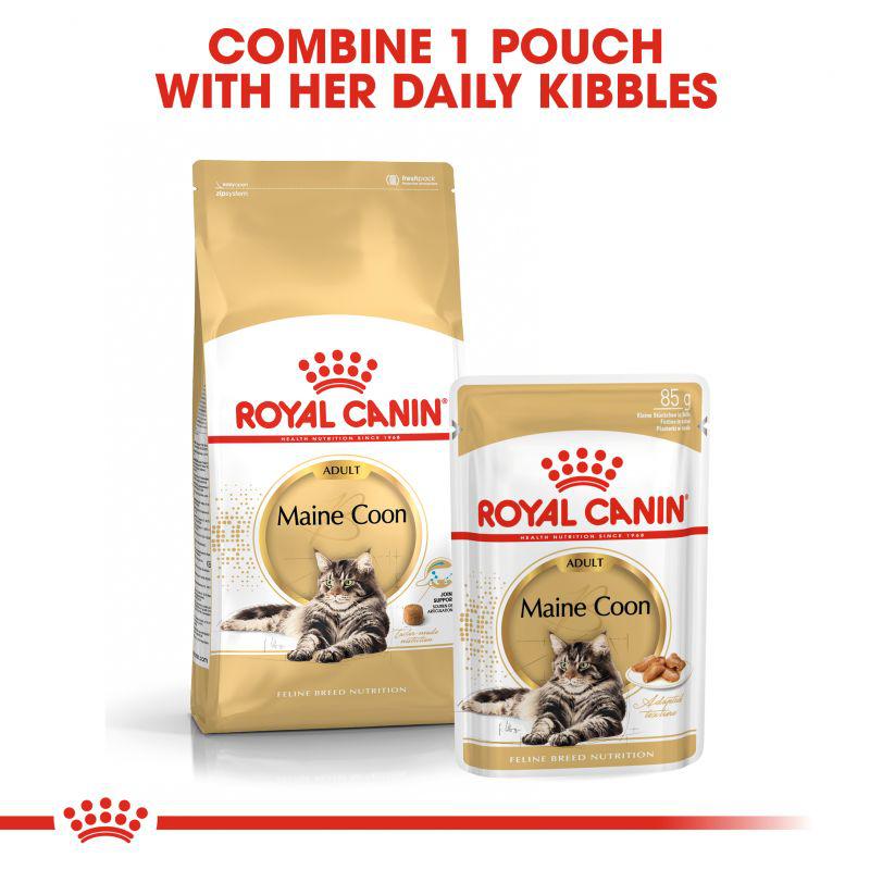 Royal Canin Feline Breed Nutrition Maine Coon Adult