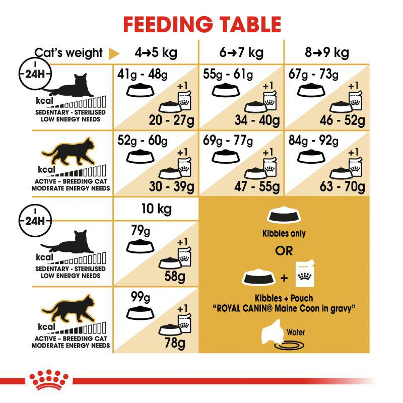 Royal Canin Feline Breed Nutrition Maine Coon Adult