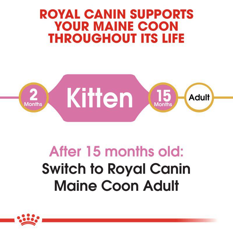 Royal Canin Feline Breed Nutrition Maine Coon Kitten