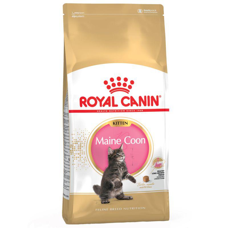 Royal Canin Feline Breed Nutrition Maine Coon Kitten