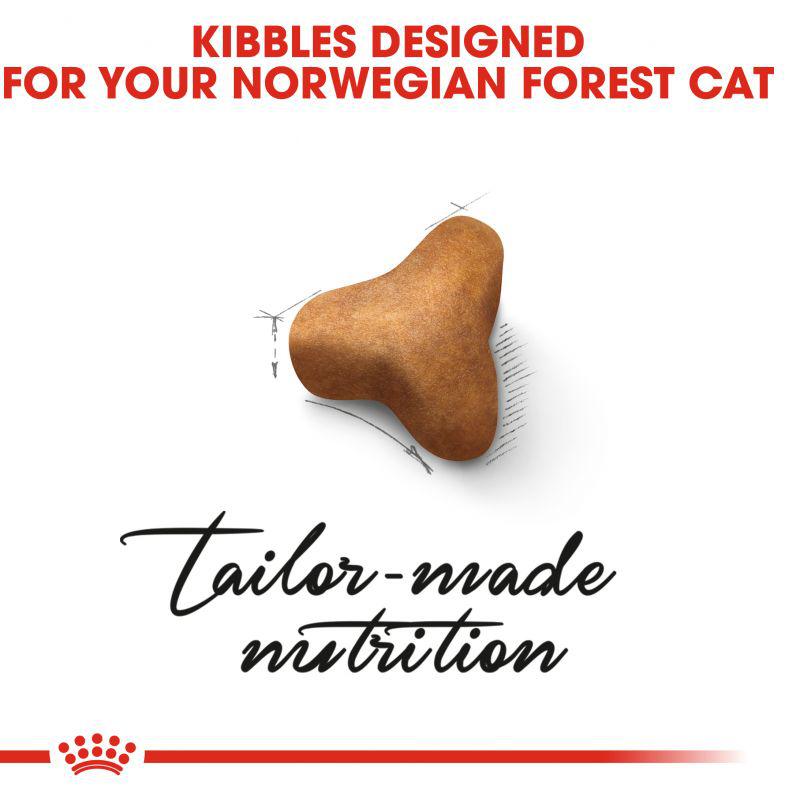 Royal Canin Feline Breed Nutrition Norwegian Forest Cat Adult