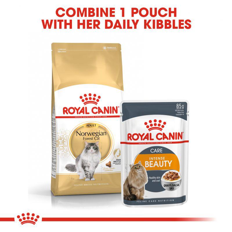 Royal Canin Feline Breed Nutrition Norwegian Forest Cat Adult