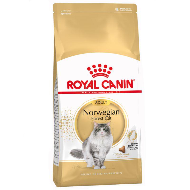 Royal Canin Feline Breed Nutrition Norwegian Forest Cat Adult