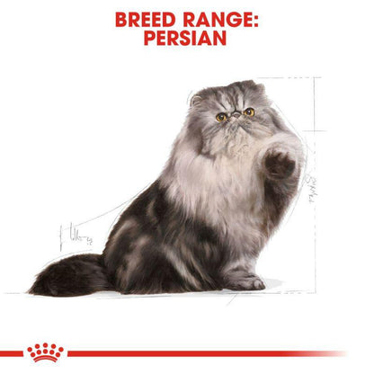 Royal Canin Feline Breed Nutrition Persian Adult