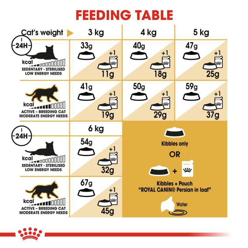 Royal Canin Feline Breed Nutrition Persian Adult