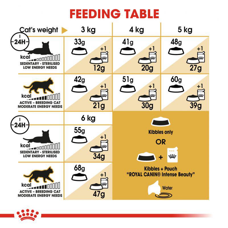 Royal Canin Feline Breed Nutrition Siamese Adult