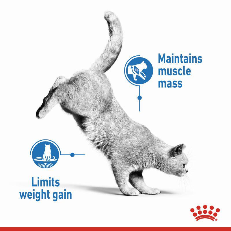Royal Canin Feline Care Nutrition Light Weight Care