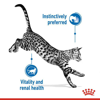 Royal Canin Feline Health Nutrition Indoor Sterilised 7+ Gravy Wet Food Pouch, 85g