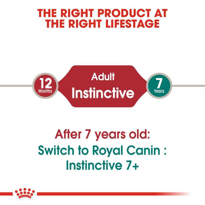 Royal Canin Feline Health Nutrition Instinctive Adult Cats Gravy Wet Food Pouch, 85g