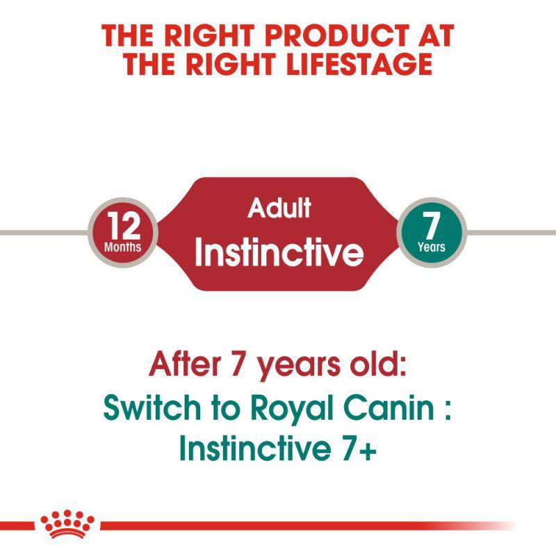 Royal Canin Feline Health Nutrition Instinctive Adult Cats Jelly Wet Food Pouch, 85g
