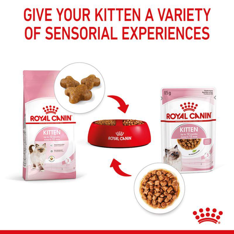 Royal Canin Feline Health Nutrition Kitten Gravy Wet Food Pouch 85g