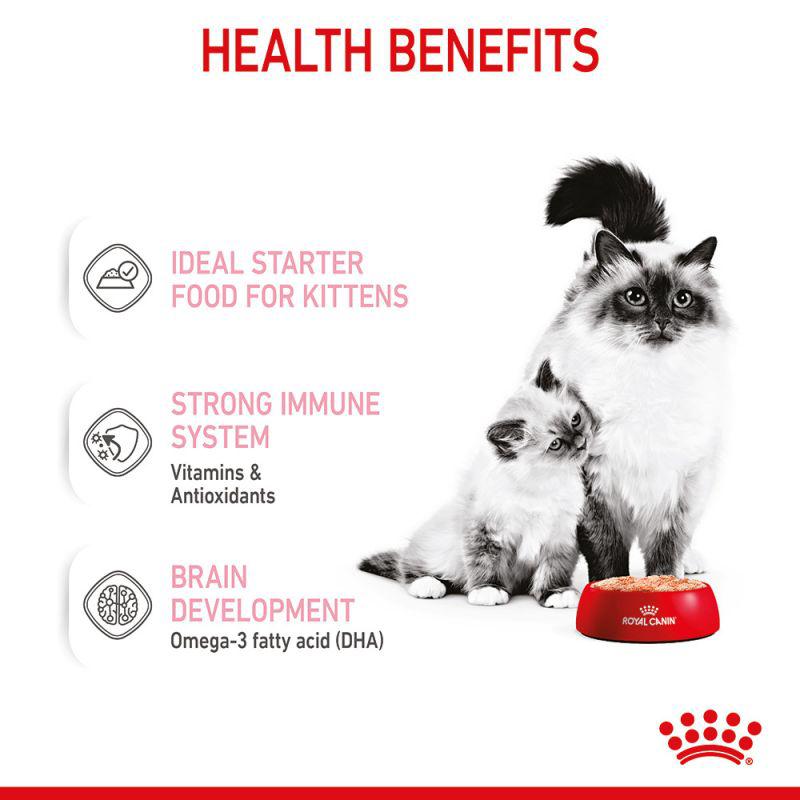 Royal Canin Feline Health Nutrition Mother & Babycat Mousse Wet Food Can, 195g