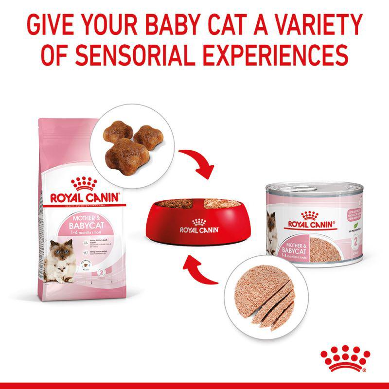 Royal Canin Feline Health Nutrition Mother & Babycat Mousse Wet Food Can, 195g
