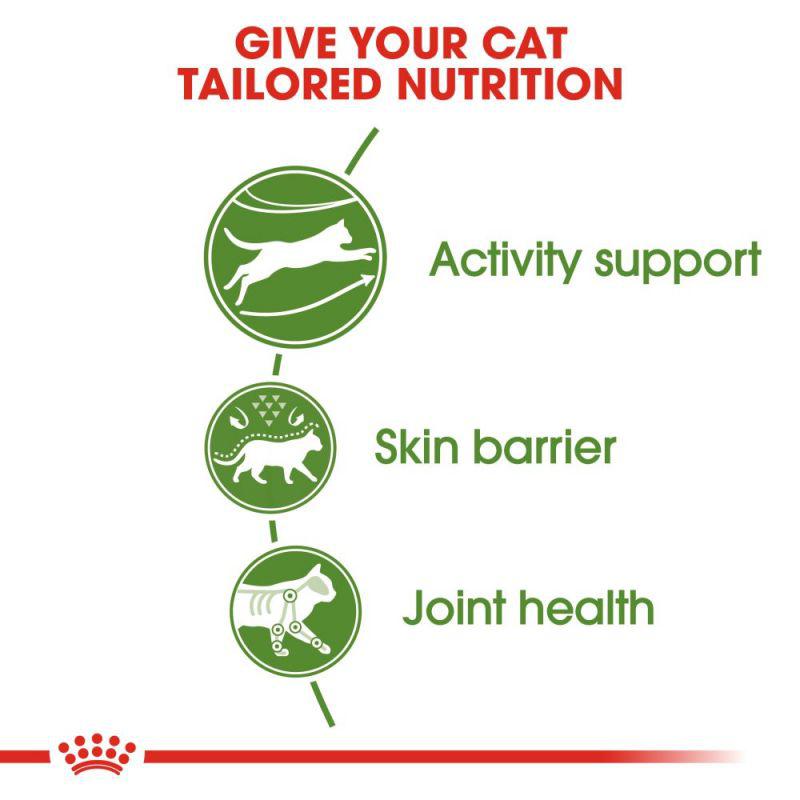 Royal Canin Feline Health Nutrition Outdoor