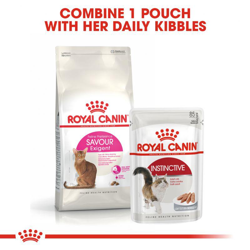 Royal Canin Feline Health Nutrition Savour Exigent