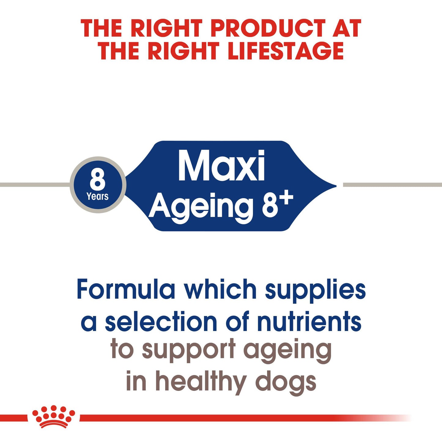 Royal Canin Size Health Nutrition Maxi Ageing 8+