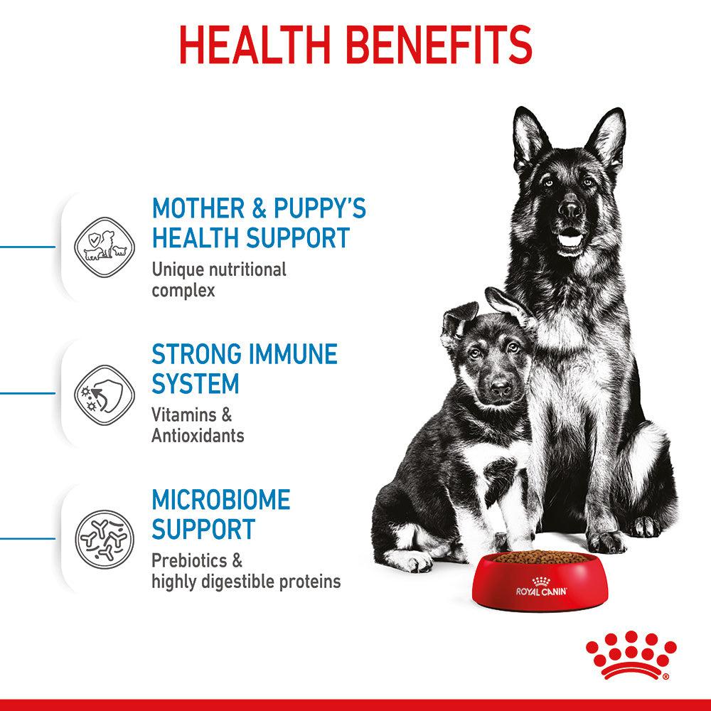 Royal Canin Size Health Nutrition Maxi Starter