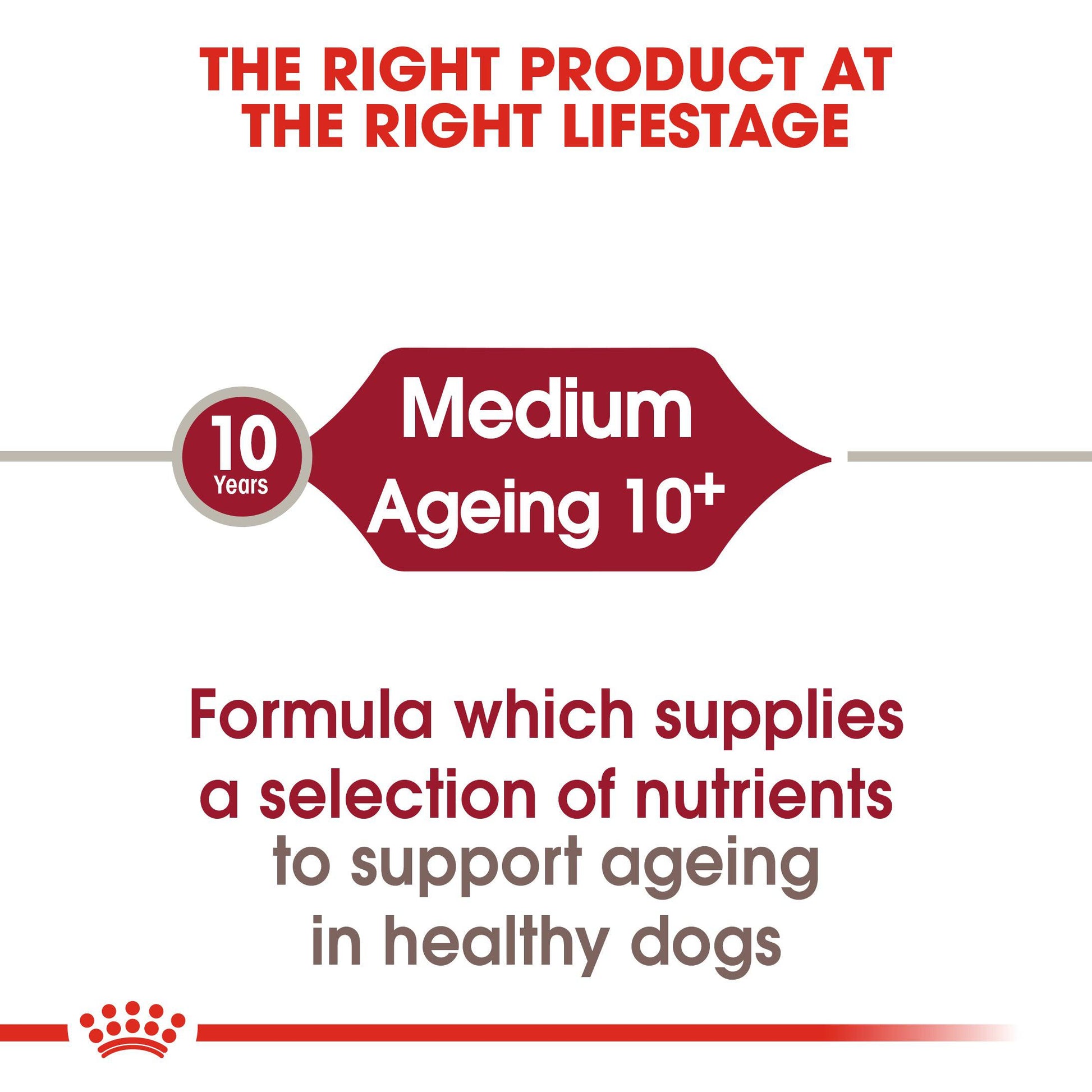 Royal Canin Size Health Nutrition Medium Ageing 10+