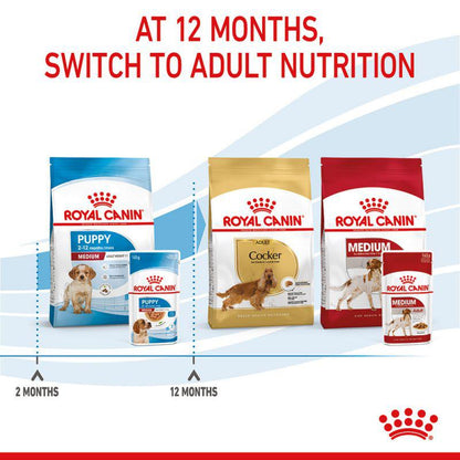 Royal Canin Size Health Nutrition Medium Puppy Wet Food Pouch, 140g