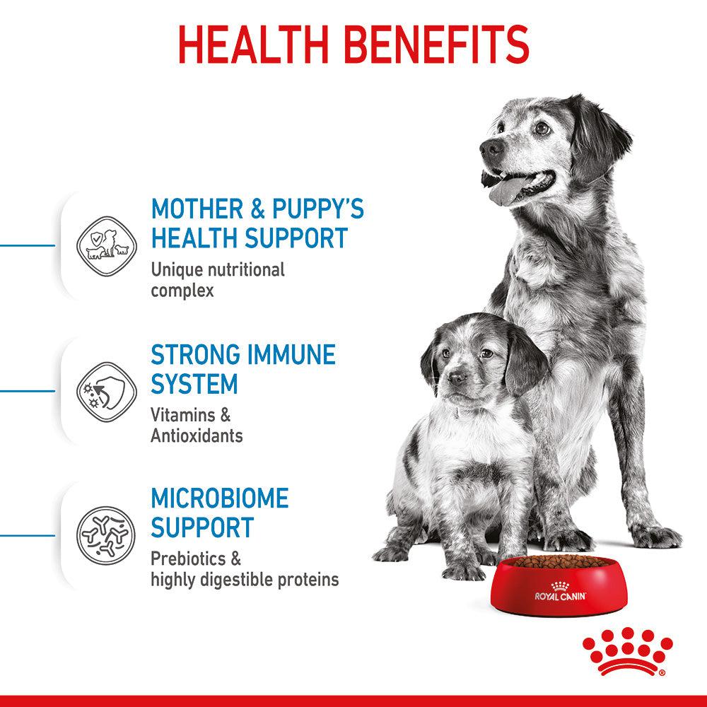 Royal Canin Size Health Nutrition Medium Starter