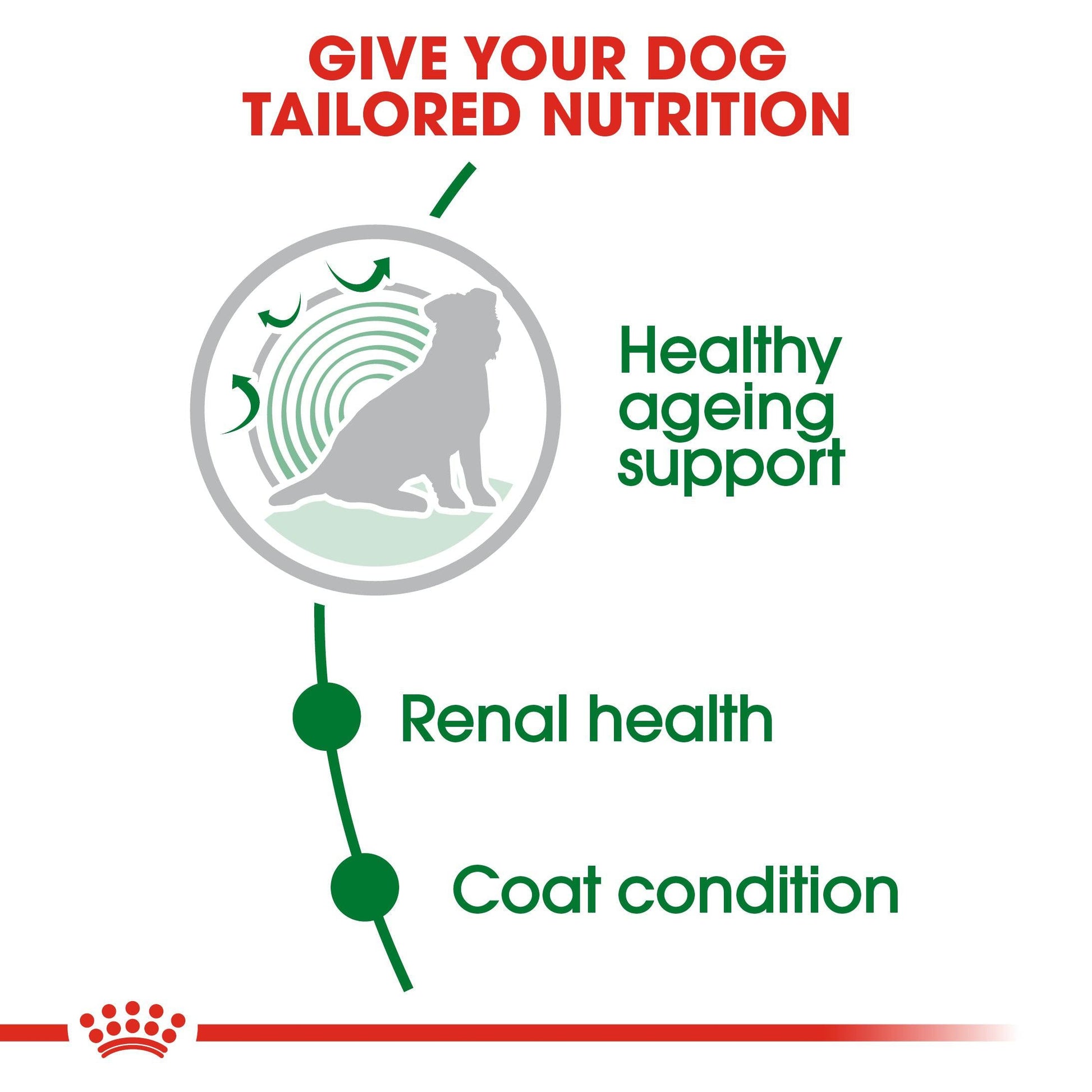 Royal Canin Size Health Nutrition Mini Ageing 12+