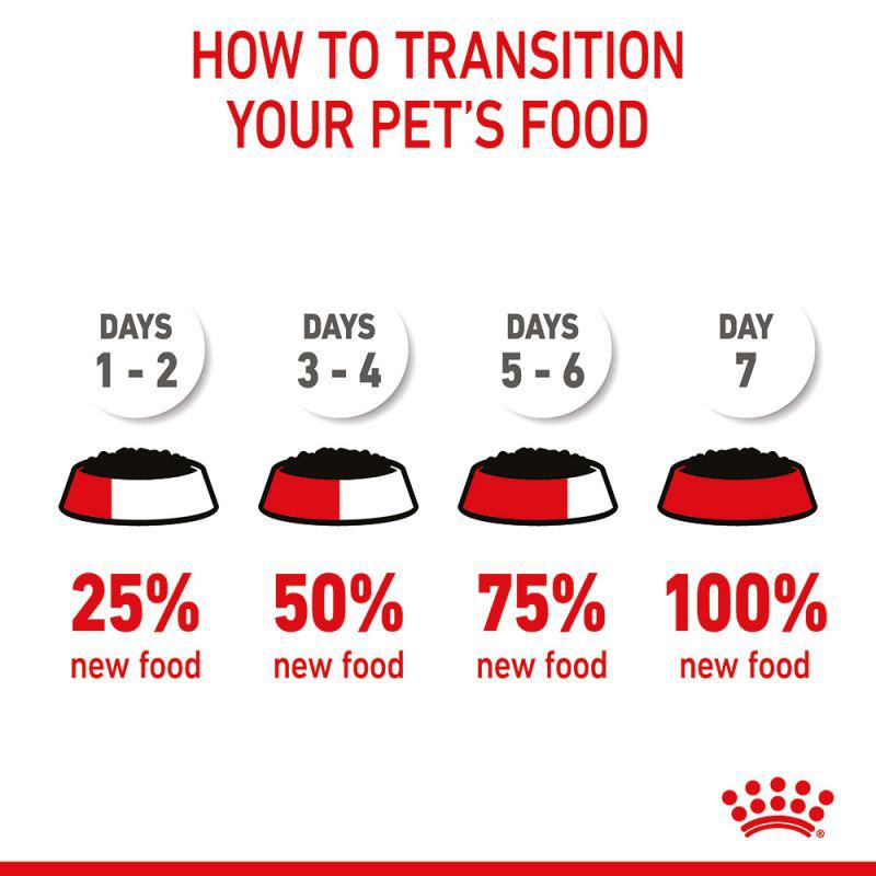 Royal Canin Size Health Nutrition Mini Puppy Wet Food Pouch, 85g