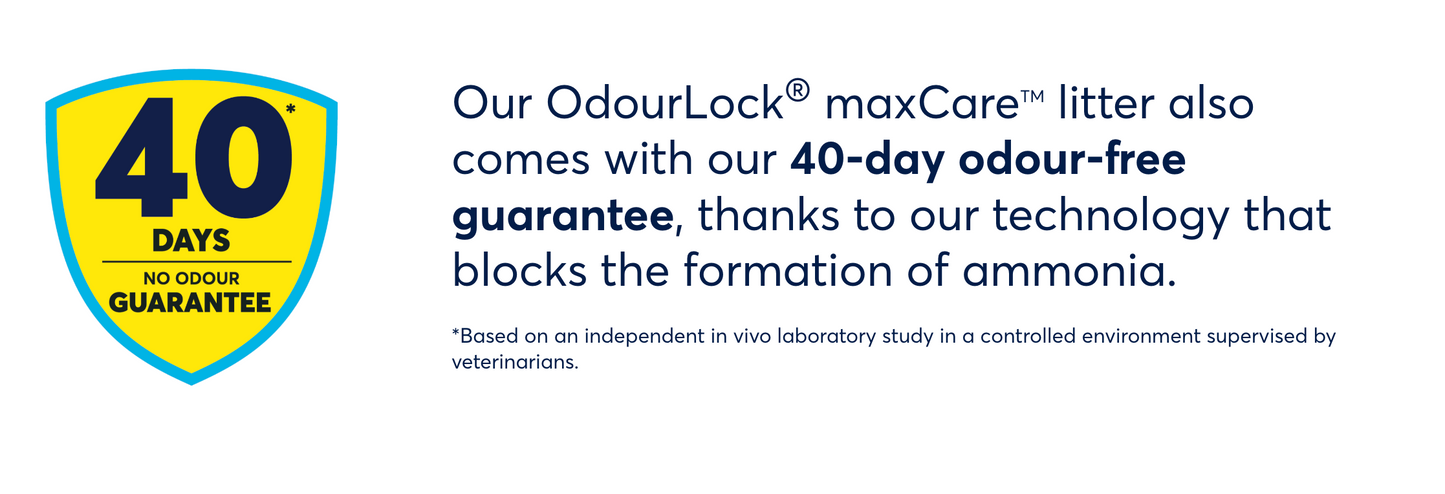 Intersand Odourlock Maxcare