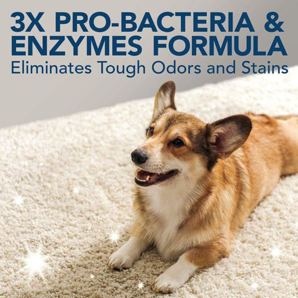 Extreme pet odor remover hotsell