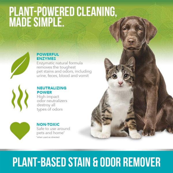 Simple Solution Plant-Based Stain and Odor Remover, 32oz