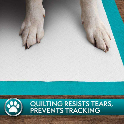 Simple Solution Premium Dog and Puppy Training Pads (Pack of 100)