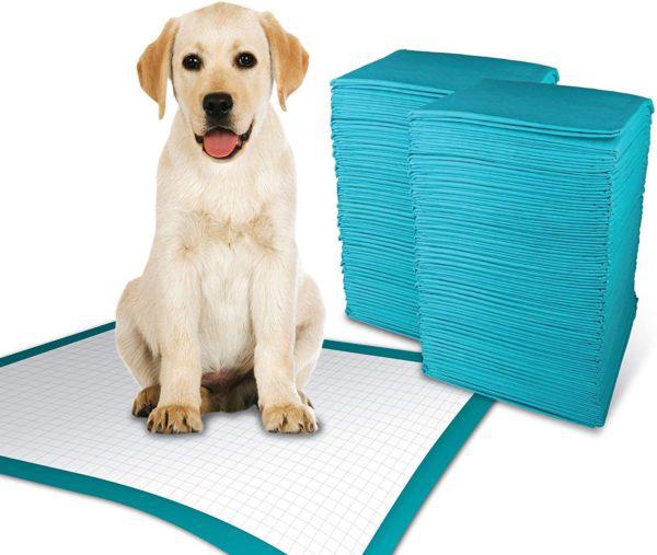 Simple Solution Premium Dog and Puppy Training Pads (Pack of 30)