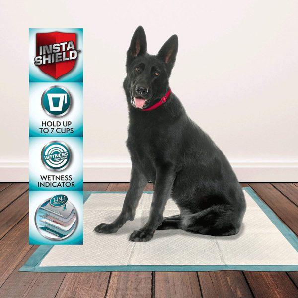 Simple Solution Premium Dog and Puppy Training Pads (Pack of 56)