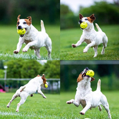 Skipdawg Dog Breezy Ball Pack of 2 (Medium)