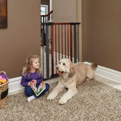 Steel Pet Gate with Decorative Wood Door