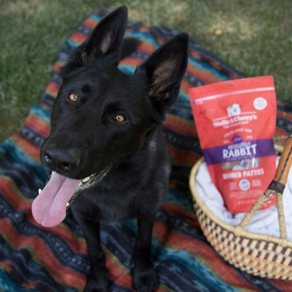 Stella & Chewy’s Absolutely Rabbit Freeze-Dried Raw Dog Dinner Patties