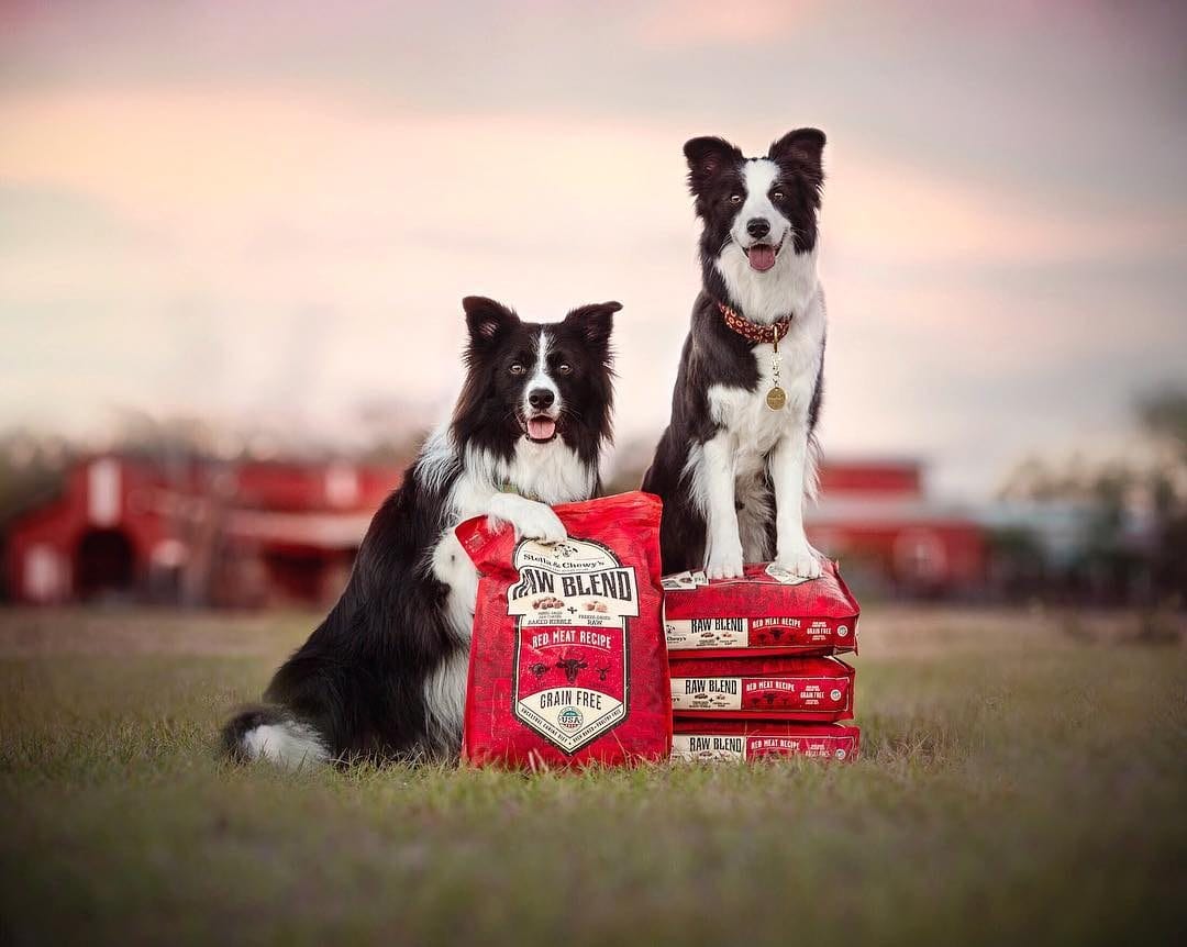 Stella & Chewy’s Baked Kibble & Freeze-Dried Raw for Dogs, Raw Blend Red Meat - Lamb, Beef & Venison Recipe