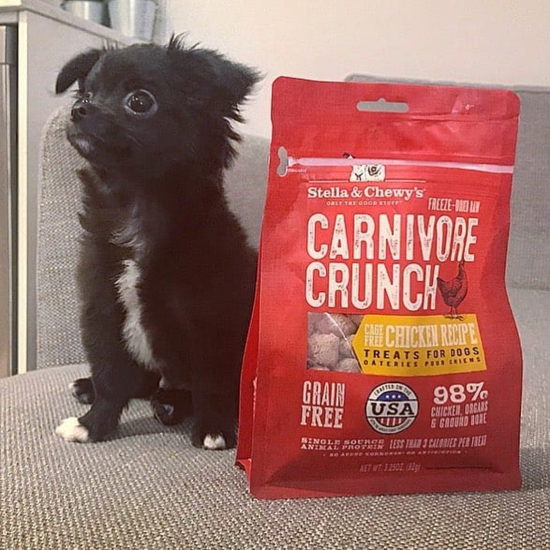 Stella & Chewy’s Chicken Carnivore Crunch Dog Treats, 3.25oz