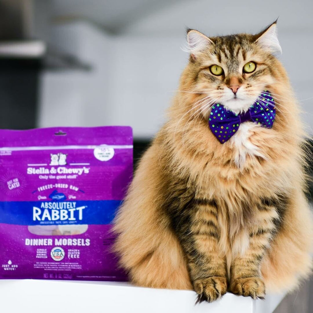 Stella & Chewy’s Freeze-Dried Raw Dinner Morsels for Cats, Absolutely Rabbit