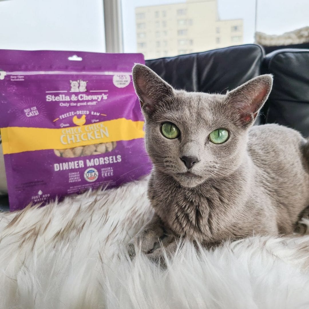 Stella & Chewy’s Freeze-Dried Raw Dinner Morsels for Cats, Chick Chick Chicken