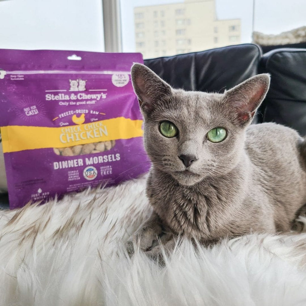 Stella & Chewy’s Freeze-Dried Raw Dinner Morsels for Cats, Chick Chick Chicken
