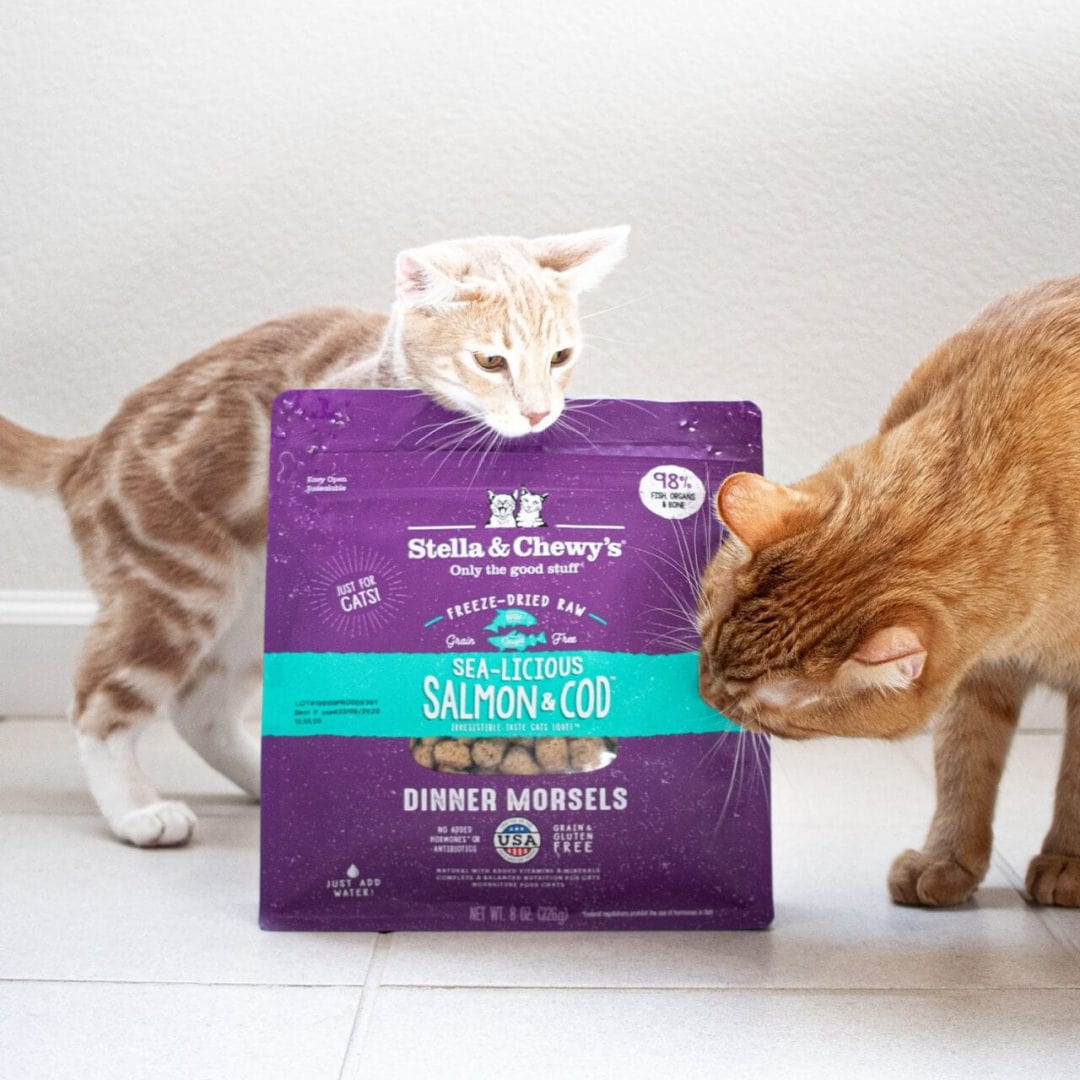 Stella & Chewy’s Freeze-Dried Raw Dinner Morsels for Cats, Sea-Licious Salmon & Cod