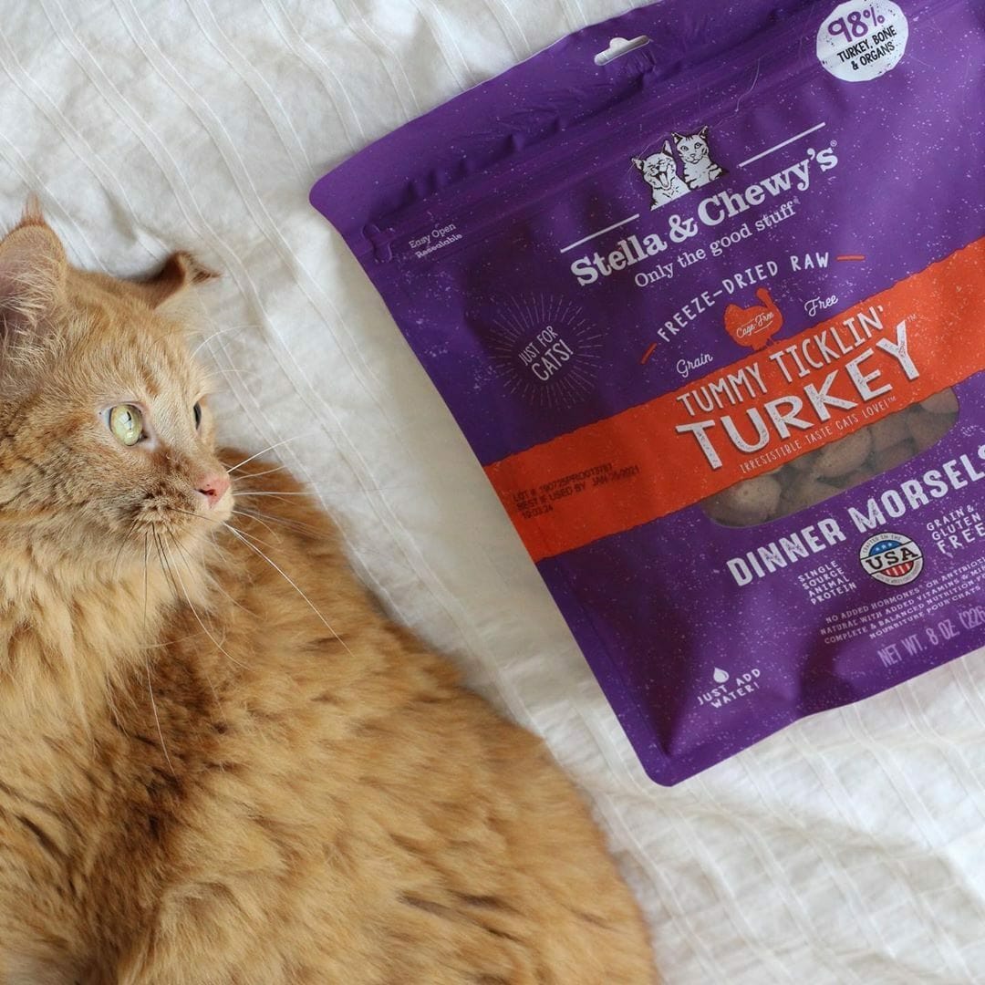 Stella & Chewy’s Freeze-Dried Raw Dinner Morsels for Cats, Tummy Ticklin Turkey